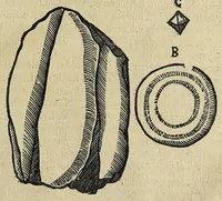 Picture 16 of 17 from Joannis Schefferi Argentoratensis Lapponia, id est, Regionis Lapponum et gentis nova et verissima descriptio : in qua multa de origine, superstitione, sacris magicis, victu, cultu, negotiis Lapponum, item animalium, metallorumque indole, quae in terris eorum proveniunt, hactenus incognita produntur, & eiconibus adjectis cum cura illustrantur (1673), leaf 395