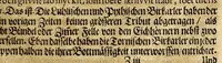 Picture 5 of 13 from Joannis SchefferI von Strassburg Lappland, : das ist: Neue und wahrhafftige Beschreibung von Lappland und dessen Einwohnern; worin viel bisshero unbekandte Sachen von der Lappen Ankunfft, Aberglauben, Zauberkünsten, Nahrung, Kleidern, Geschäfften, wie auch von den Thieren und Metallen so es in ihrem Lande giebet, erzählet, und mit unterschiedlichen Figuren fürgestellet worden (1675), leaf 201