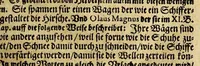 Picture 9 of 13 from Joannis SchefferI von Strassburg Lappland, : das ist: Neue und wahrhafftige Beschreibung von Lappland und dessen Einwohnern; worin viel bisshero unbekandte Sachen von der Lappen Ankunfft, Aberglauben, Zauberkünsten, Nahrung, Kleidern, Geschäfften, wie auch von den Thieren und Metallen so es in ihrem Lande giebet, erzählet, und mit unterschiedlichen Figuren fürgestellet worden (1675), leaf 307