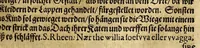 Picture 13 of 13 from Joannis SchefferI von Strassburg Lappland, : das ist: Neue und wahrhafftige Beschreibung von Lappland und dessen Einwohnern; worin viel bisshero unbekandte Sachen von der Lappen Ankunfft, Aberglauben, Zauberkünsten, Nahrung, Kleidern, Geschäfften, wie auch von den Thieren und Metallen so es in ihrem Lande giebet, erzählet, und mit unterschiedlichen Figuren fürgestellet worden (1675), leaf 363