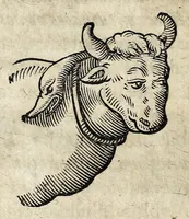 Picture 11 of 36 from Joannis Schefferi Argentoratensis De re vehiculari veterum libri duo. Accedit Pyrrhi Ligorii V.C. De vehiculis fragmentum : nunquam ante publicatum, ex bibliotheca Sereniss. Reg. Christinae, cum ejusdem I. Schefferi Arg. annotationibus (1671), leaf 132