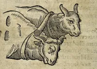 Picture 12 of 36 from Joannis Schefferi Argentoratensis De re vehiculari veterum libri duo. Accedit Pyrrhi Ligorii V.C. De vehiculis fragmentum : nunquam ante publicatum, ex bibliotheca Sereniss. Reg. Christinae, cum ejusdem I. Schefferi Arg. annotationibus (1671), leaf 136