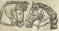 Picture 13 of 36 from Joannis Schefferi Argentoratensis De re vehiculari veterum libri duo. Accedit Pyrrhi Ligorii V.C. De vehiculis fragmentum : nunquam ante publicatum, ex bibliotheca Sereniss. Reg. Christinae, cum ejusdem I. Schefferi Arg. annotationibus (1671), leaf 187