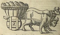 Picture 32 of 36 from Joannis Schefferi Argentoratensis De re vehiculari veterum libri duo. Accedit Pyrrhi Ligorii V.C. De vehiculis fragmentum : nunquam ante publicatum, ex bibliotheca Sereniss. Reg. Christinae, cum ejusdem I. Schefferi Arg. annotationibus (1671), leaf 570