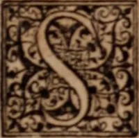 Picture 13 of 21 from Joannis Schenckii a Grafenberg ... Observationum medicarum rariorum libri VII : in quibus nova, abdita, admirabilia, monstrosaque exempla, circa anatomen, aegritudinum causas, signa, eventus, curationes, à veteribus recentioribusque sive medicis, sive aliis quibusque fide digniss. scriptoribus monumentis consignata, partim hactenus publicatis, partim etiam anekdotois non paucis, per communes locos artificiose digesta proponuntur (1665), leaf 356