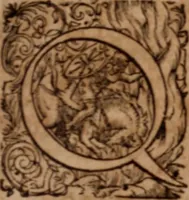 Picture 10 of 21 from Joannis Schenckii a Grafenberg ... Observationum medicarum rariorum libri VII : in quibus nova, abdita, admirabilia, monstrosaque exempla, circa anatomen, aegritudinum causas, signa, eventus, curationes, à veteribus recentioribusque sive medicis, sive aliis quibusque fide digniss. scriptoribus monumentis consignata, partim hactenus publicatis, partim etiam anekdotois non paucis, per communes locos artificiose digesta proponuntur (1665), leaf 40
