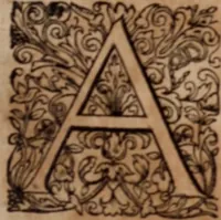Picture 11 of 21 from Joannis Schenckii a Grafenberg ... Observationum medicarum rariorum libri VII : in quibus nova, abdita, admirabilia, monstrosaque exempla, circa anatomen, aegritudinum causas, signa, eventus, curationes, à veteribus recentioribusque sive medicis, sive aliis quibusque fide digniss. scriptoribus monumentis consignata, partim hactenus publicatis, partim etiam anekdotois non paucis, per communes locos artificiose digesta proponuntur (1665), leaf 46