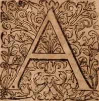 An illustration from Joannis Schenckii a Grafenberg ... Observationum medicarum rariorum libri VII : in quibus nova, abdita, admirabilia, monstrosaque exempla, circa anatomen, aegritudinum causas, signa, eventus, curationes, à veteribus recentioribusque sive medicis, sive aliis quibusque fide digniss. scriptoribus monumentis consignata, partim hactenus publicatis, partim etiam anekdotois non paucis, per communes locos artificiose digesta proponuntur (1665)