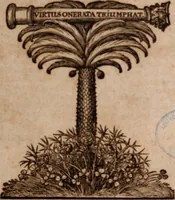 An illustration from Joannis Schenckii a Grafenberg ... Observationum medicarum rariorum libri VII : in quibus nova, abdita, admirabilia, monstrosaque exempla, circa anatomen, aegritudinum causas, signa, eventus, curationes, à veteribus recentioribusque sive medicis, sive aliis quibusque fide digniss. scriptoribus monumentis consignata, partim hactenus publicatis, partim etiam anekdotois non paucis, per communes locos artificiose digesta proponuntur (1665)
