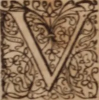 Picture 17 of 21 from Joannis Schenckii a Grafenberg ... Observationum medicarum rariorum libri VII : in quibus nova, abdita, admirabilia, monstrosaque exempla, circa anatomen, aegritudinum causas, signa, eventus, curationes, à veteribus recentioribusque sive medicis, sive aliis quibusque fide digniss. scriptoribus monumentis consignata, partim hactenus publicatis, partim etiam anekdotois non paucis, per communes locos artificiose digesta proponuntur (1665), leaf 696