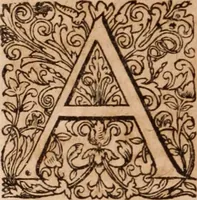 An illustration from Joannis Schenckii a Grafenberg ... Observationum medicarum rariorum libri VII : in quibus nova, abdita, admirabilia, monstrosaque exempla, circa anatomen, aegritudinum causas, signa, eventus, curationes, à veteribus recentioribusque sive medicis, sive aliis quibusque fide digniss. scriptoribus monumentis consignata, partim hactenus publicatis, partim etiam anekdotois non paucis, per communes locos artificiose digesta proponuntur (1665)