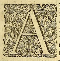 An illustration from Joannis Schildi De coalitione populorum ac rerumpublicarum libri tres. : In quibus coalescentium initia, conditiones, res florentes, controversiae, vitia, res labantes, dissolutiones, ex omnis aevi historia eruuntur, ac dissertationibus politicis illustrantur (1661)