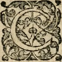 Picture 6 of 14 from Joannis Valentini Andreae Memorialia, benevolentium honori, amori et condolentiae data (1619), leaf 9