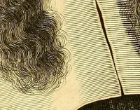 An illustration from Joannis Veslingii, equitus, professoris quondam Patavini, & c., Syntagma anatomicum, commentario atque appendice ex veterum, recentiorum, propriisque, observationibus (1666)