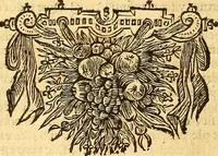 An illustration from Joannis Veslingii, equitus, professoris quondam Patavini, & c., Syntagma anatomicum, commentario atque appendice ex veterum, recentiorum, propriisque, observationibus (1666)