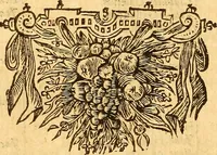 An illustration from Joannis Veslingii, equitus, professoris quondam Patavini, & c., Syntagma anatomicum, commentario atque appendice ex veterum, recentiorum, propriisque, observationibus (1666)