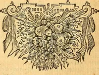 An illustration from Joannis Veslingii, equitus, professoris quondam Patavini, & c., Syntagma anatomicum, commentario atque appendice ex veterum, recentiorum, propriisque, observationibus (1666)