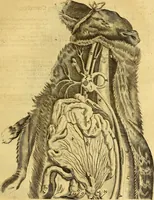 An illustration from Joannis Veslingii, equitus, professoris quondam Patavini, & c., Syntagma anatomicum, commentario atque appendice ex veterum, recentiorum, propriisque, observationibus (1666)