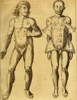 An illustration from Joannis Veslingii, equitus, professoris quondam Patavini, & c., Syntagma anatomicum, commentario atque appendice ex veterum, recentiorum, propriisque, observationibus (1666)