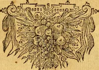 An illustration from Joannis Veslingii, equitus, professoris quondam Patavini, & c., Syntagma anatomicum, commentario atque appendice ex veterum, recentiorum, propriisque, observationibus (1666)
