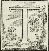 Picture 17 of 47 from Joannis Vignolii Petilianensis De columna Imperatoris Antonini Pii dissertatio (1705), leaf 116