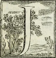 Picture 26 of 47 from Joannis Vignolii Petilianensis De columna Imperatoris Antonini Pii dissertatio (1705), leaf 178