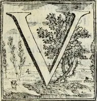 Picture 34 of 47 from Joannis Vignolii Petilianensis De columna Imperatoris Antonini Pii dissertatio (1705), leaf 228
