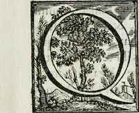 An illustration from Joannis Vignolii Petilianensis De columna Imperatoris Antonini Pii dissertatio (1705)