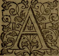 An illustration from Job expounded by Theodore Beza : partly in manner of a commentary, partly in manner of a paraphrase ; faithfully translated out of Latine into English (1589)