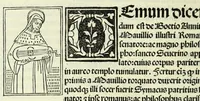 An illustration from Jocobi Gualle jureconsulti Papie sanctuarium (1505)