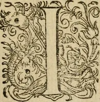 An illustration from Jocvs severvs, hoc est, Tribvnal aeqvvm, qvo noctva regina avivm, phoenice arbitro, post varias disceptationes et qverelas volucrum eam infestantium pronunciatur, & ob sapientiam singularem, Palladi sacrata agnoscitur (1617)