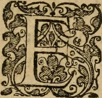 An illustration from Jocvs severvs, hoc est, Tribvnal aeqvvm, qvo noctva regina avivm, phoenice arbitro, post varias disceptationes et qverelas volucrum eam infestantium pronunciatur, & ob sapientiam singularem, Palladi sacrata agnoscitur (1617)