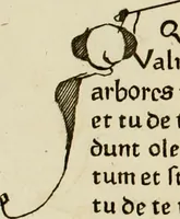 Picture 7 of 10 from Jo. Danielis Schoepflini consil. reg. ac Franciæ historiogr. : vindiciæ typographicæ (1760), leaf 186
