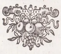 An illustration from Jodoci Sinceri Itinerarium Galliae : ita accommodatum, ut ejus ductu mediocri tempore tota Gallia obiri, Anglia & Belgium adiri possint : nec bis tèrve ad eadem loca rediri oporteat : notatis cujuscunque loci, quas vocant, deliciis : cum appendice, de Burdigala, ac iconibus vrbium praecipuarum illustratum (1649)