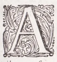 An illustration from Jodoci Sinceri Itinerarium Galliae : ita accommodatum, ut ejus ductu mediocri tempore tota Gallia obiri, Anglia & Belgium adiri possint : nec bis tèrve ad eadem loca rediri oporteat : notatis cujuscunque loci, quas vocant, deliciis : cum appendice, de Burdigala, ac iconibus vrbium praecipuarum illustratum (1649)