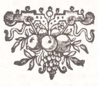 An illustration from Jodoci Sinceri Itinerarium Galliae : ita accommodatum, ut ejus ductu mediocri tempore tota Gallia obiri, Anglia & Belgium adiri possint : nec bis tèrve ad eadem loca rediri oporteat : notatis cujuscunque loci, quas vocant, deliciis : cum appendice, de Burdigala, ac iconibus vrbium praecipuarum illustratum (1649)