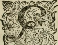 An illustration from Johan Nieuhofs Gedenkweerdige Brasiliaense zee- en lant- reize. : Behelzende al het geen op dezelve is voorgevallen. Beneffens een bondige beschrijving van gantsche Neerlants Brasil, zoo van lantschappen, steden, dieren, gewassen, als draghten, zeden en godsdienst der inwoonders: en ��inzonderheit ein wijtloopig verhael der merkwaardigste voorvallen en geschiedenissen, die zich, geduurende zijn negenjarigh verblijf in Brasil, in d'oorlogen en opstant der Portugesen tegen d'onzen, zich sedert het jaer 1640. tot 1649. hebben toegedragen. Door gaens verçiert met verscheide afbeeldingen, na't leven aldaer getekent (1682)