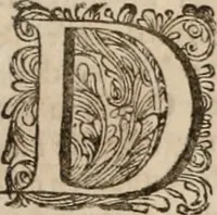 An illustration from Johan Nieuhofs Gedenkweerdige Brasiliaense zee- en lant- reize. : Behelzende al het geen op dezelve is voorgevallen. Beneffens een bondige beschrijving van gantsche Neerlants Brasil, zoo van lantschappen, steden, dieren, gewassen, als draghten, zeden en godsdienst der inwoonders: en ��inzonderheit ein wijtloopig verhael der merkwaardigste voorvallen en geschiedenissen, die zich, geduurende zijn negenjarigh verblijf in Brasil, in d'oorlogen en opstant der Portugesen tegen d'onzen, zich sedert het jaer 1640. tot 1649. hebben toegedragen. Door gaens verçiert met verscheide afbeeldingen, na't leven aldaer getekent (1682)