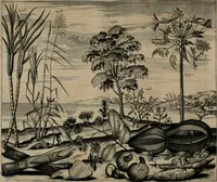An illustration from Johan Nieuhofs Gedenkweerdige Brasiliaense zee- en lant- reize. : Behelzende al het geen op dezelve is voorgevallen. Beneffens een bondige beschrijving van gantsche Neerlants Brasil, zoo van lantschappen, steden, dieren, gewassen, als draghten, zeden en godsdienst der inwoonders: en ��inzonderheit ein wijtloopig verhael der merkwaardigste voorvallen en geschiedenissen, die zich, geduurende zijn negenjarigh verblijf in Brasil, in d'oorlogen en opstant der Portugesen tegen d'onzen, zich sedert het jaer 1640. tot 1649. hebben toegedragen. Door gaens verçiert met verscheide afbeeldingen, na't leven aldaer getekent (1682)