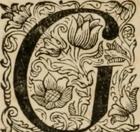An illustration from Johan Nieuhofs Gedenkweerdige Brasiliaense zee- en lant- reize. : Behelzende al het geen op dezelve is voorgevallen. Beneffens een bondige beschrijving van gantsche Neerlants Brasil, zoo van lantschappen, steden, dieren, gewassen, als draghten, zeden en godsdienst der inwoonders: en ��inzonderheit ein wijtloopig verhael der merkwaardigste voorvallen en geschiedenissen, die zich, geduurende zijn negenjarigh verblijf in Brasil, in d'oorlogen en opstant der Portugesen tegen d'onzen, zich sedert het jaer 1640. tot 1649. hebben toegedragen. Door gaens verçiert met verscheide afbeeldingen, na't leven aldaer getekent (1682)