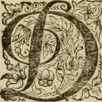 Picture 25 of 91 from Johan Nieuhofs Gedenkweerdige Brasiliaense zee- en lant- reize. : Behelzende al het geen op dezelve is voorgevallen. Beneffens een bondige beschrijving van gantsche Neerlants Brasil, zoo van lantschappen, steden, dieren, gewassen, als draghten, zeden en godsdienst der inwoonders: en ��inzonderheit ein wijtloopig verhael der merkwaardigste voorvallen en geschiedenissen, die zich, geduurende zijn negenjarigh verblijf in Brasil, in d'oorlogen en opstant der Portugesen tegen d'onzen, zich sedert het jaer 1640. tot 1649. hebben toegedragen. Door gaens verçiert met verscheide afbeeldingen, na't leven aldaer getekent (1682), leaf 277