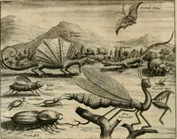 An illustration from Johan Nieuhofs Gedenkweerdige Brasiliaense zee- en lant- reize. : Behelzende al het geen op dezelve is voorgevallen. Beneffens een bondige beschrijving van gantsche Neerlants Brasil, zoo van lantschappen, steden, dieren, gewassen, als draghten, zeden en godsdienst der inwoonders: en ��inzonderheit ein wijtloopig verhael der merkwaardigste voorvallen en geschiedenissen, die zich, geduurende zijn negenjarigh verblijf in Brasil, in d'oorlogen en opstant der Portugesen tegen d'onzen, zich sedert het jaer 1640. tot 1649. hebben toegedragen. Door gaens verçiert met verscheide afbeeldingen, na't leven aldaer getekent (1682)