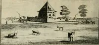 Picture 65 of 91 from Johan Nieuhofs Gedenkweerdige Brasiliaense zee- en lant- reize. : Behelzende al het geen op dezelve is voorgevallen. Beneffens een bondige beschrijving van gantsche Neerlants Brasil, zoo van lantschappen, steden, dieren, gewassen, als draghten, zeden en godsdienst der inwoonders: en ��inzonderheit ein wijtloopig verhael der merkwaardigste voorvallen en geschiedenissen, die zich, geduurende zijn negenjarigh verblijf in Brasil, in d'oorlogen en opstant der Portugesen tegen d'onzen, zich sedert het jaer 1640. tot 1649. hebben toegedragen. Door gaens verçiert met verscheide afbeeldingen, na't leven aldaer getekent (1682), leaf 533