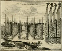 Picture 78 of 91 from Johan Nieuhofs Gedenkweerdige Brasiliaense zee- en lant- reize. : Behelzende al het geen op dezelve is voorgevallen. Beneffens een bondige beschrijving van gantsche Neerlants Brasil, zoo van lantschappen, steden, dieren, gewassen, als draghten, zeden en godsdienst der inwoonders: en ��inzonderheit ein wijtloopig verhael der merkwaardigste voorvallen en geschiedenissen, die zich, geduurende zijn negenjarigh verblijf in Brasil, in d'oorlogen en opstant der Portugesen tegen d'onzen, zich sedert het jaer 1640. tot 1649. hebben toegedragen. Door gaens verçiert met verscheide afbeeldingen, na't leven aldaer getekent (1682), leaf 586