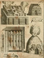 An illustration from Johannis Conradi Barchusen Elementa chemiae, quibius subjuncta est, Confectura lapidis philosophici, imaginibus repraesentata (1718)
