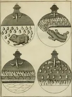 Picture 23 of 36 from Johannis Conradi Barchusen Elementa chemiae, quibius subjuncta est, Confectura lapidis philosophici, imaginibus repraesentata (1718), leaf 550