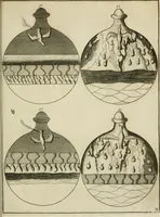 Picture 25 of 36 from Johannis Conradi Barchusen Elementa chemiae, quibius subjuncta est, Confectura lapidis philosophici, imaginibus repraesentata (1718), leaf 552