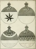 Picture 27 of 36 from Johannis Conradi Barchusen Elementa chemiae, quibius subjuncta est, Confectura lapidis philosophici, imaginibus repraesentata (1718), leaf 557