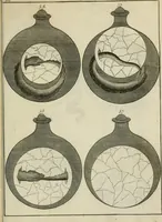 Picture 31 of 36 from Johannis Conradi Barchusen Elementa chemiae, quibius subjuncta est, Confectura lapidis philosophici, imaginibus repraesentata (1718), leaf 568
