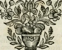An illustration from Johannis Conradi Barchusen Elementa chemiae, quibius subjuncta est, Confectura lapidis philosophici, imaginibus repraesentata (1718)